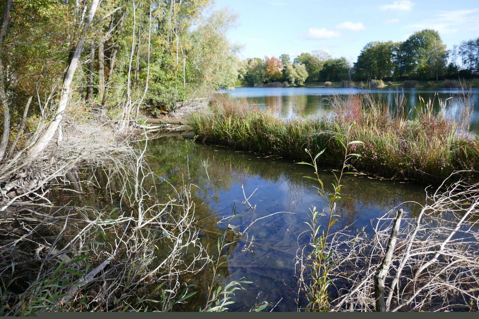 placeholder image-sq