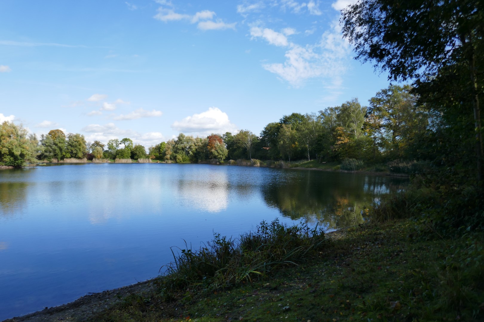 placeholder image-sq