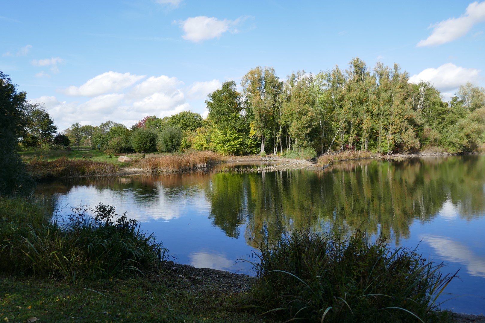 placeholder image-sq