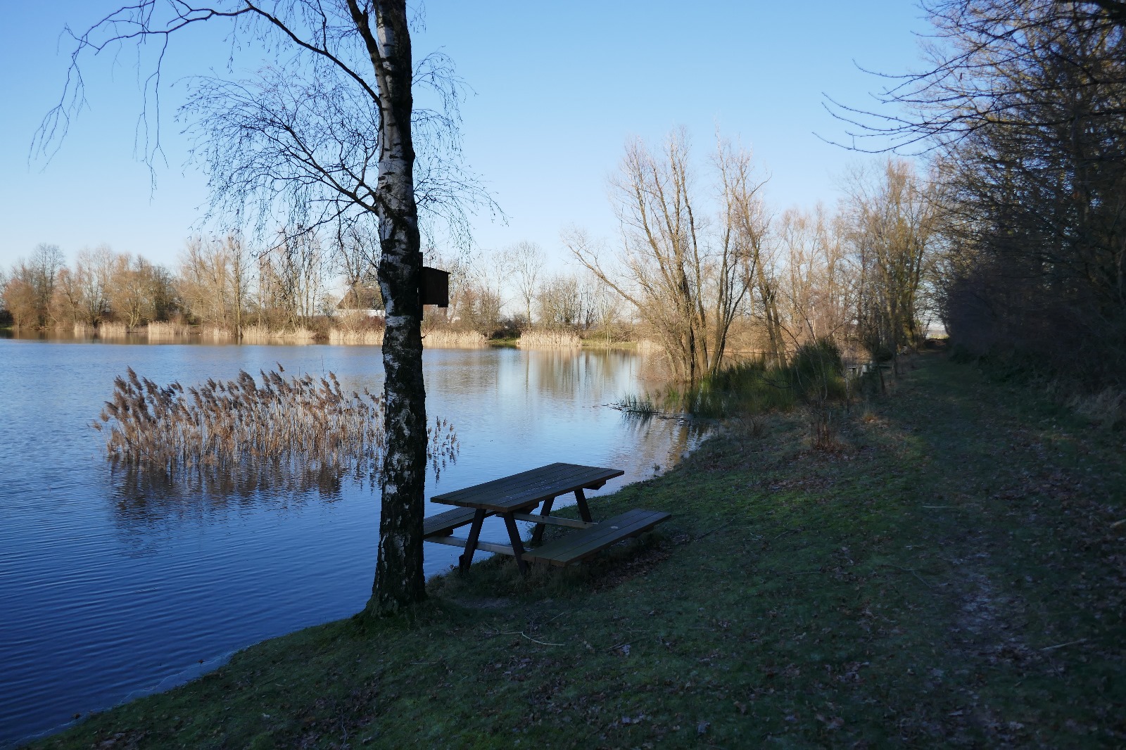 placeholder image-sq