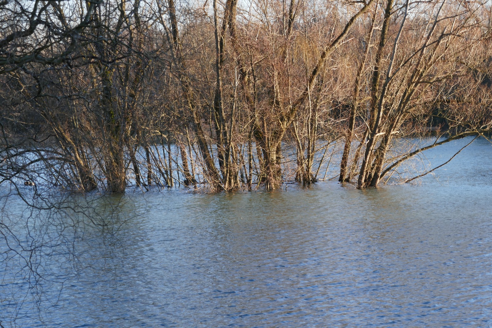 placeholder image-sq